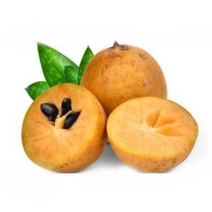 Sapota 1 kg