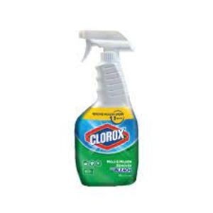 Clorox mold & mildew remover with bleach 500ml