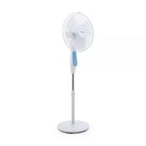 Blueberrys pedastal fan zam 16